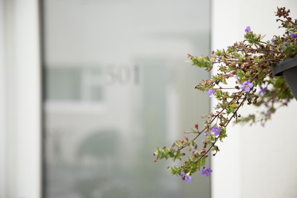 Kerno Apartments レイキャヴィーク エクステリア 写真